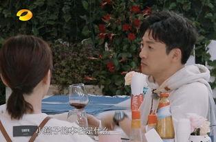 苏有朋最新爆料杨紫,独家爆料引粉丝热议