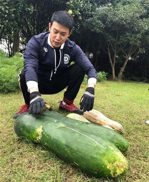 新瓜最新爆料林业,揭秘林业产业变革背后的秘密