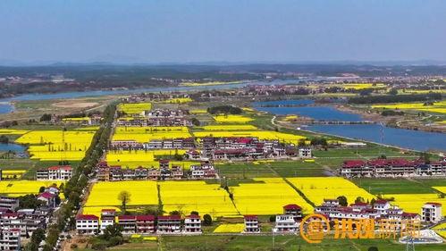 南昌安义县最新爆料,揭秘当地发展新动态与民生热点