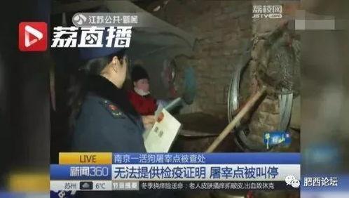 屠宰最新爆料新闻,屠宰行业惊人内幕曝光，监管漏洞亟待填补