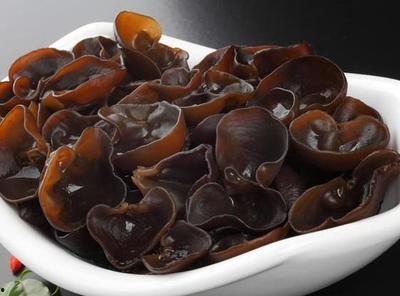 哈尔滨木耳爆料案件最新,揭开食品安全背后的惊人真相