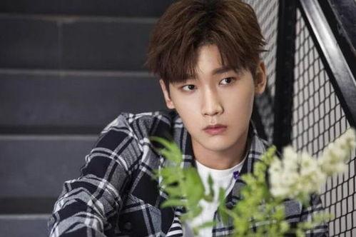 赵成晨恋情爆料最新消息,细节揭秘，甜蜜瞬间引网友热议